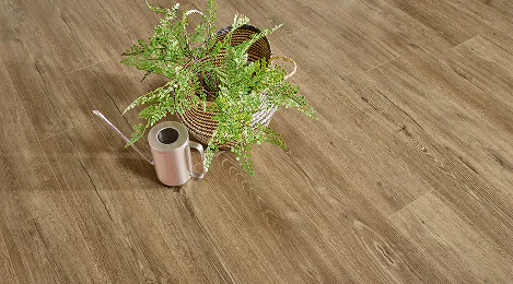 Laminat in Holzoptik mit Pflanze und Gießkanne