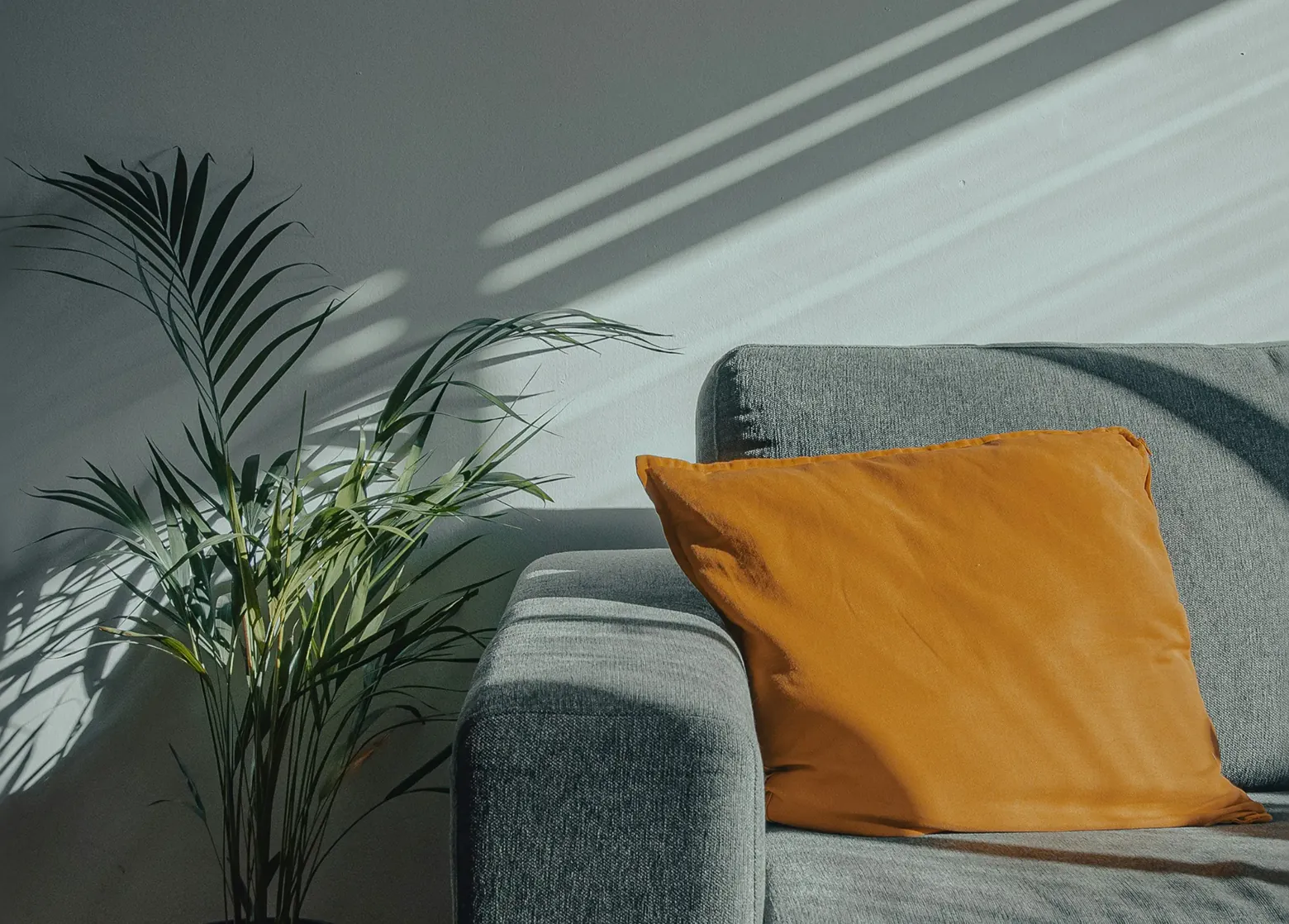 Graues Polstersofa mit senfgelbem Kissen, daneben eine Zimmerpalme
